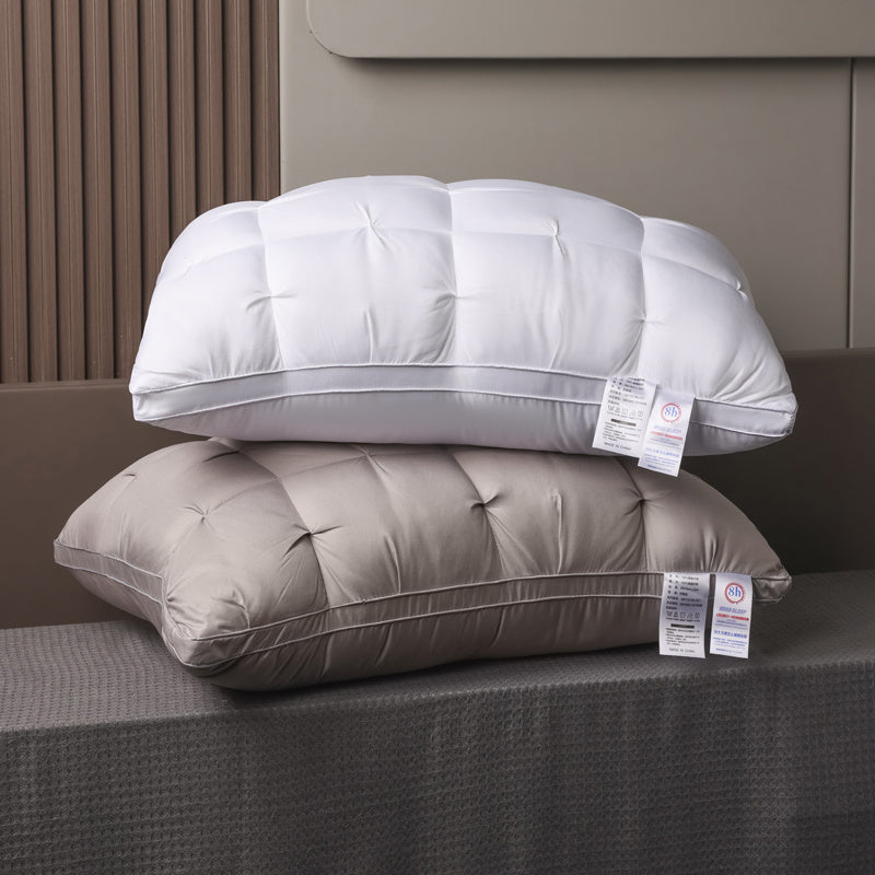 Luxury Pillows 2pcs