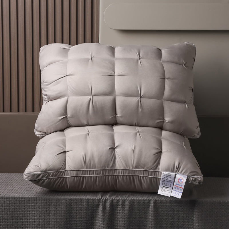 Luxury Pillows 2pcs