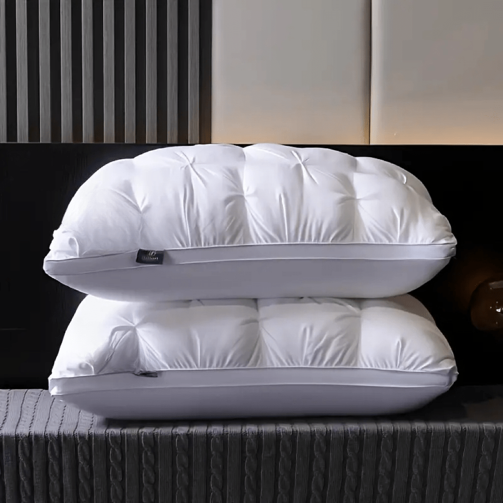 Luxury Pillows 2pcs