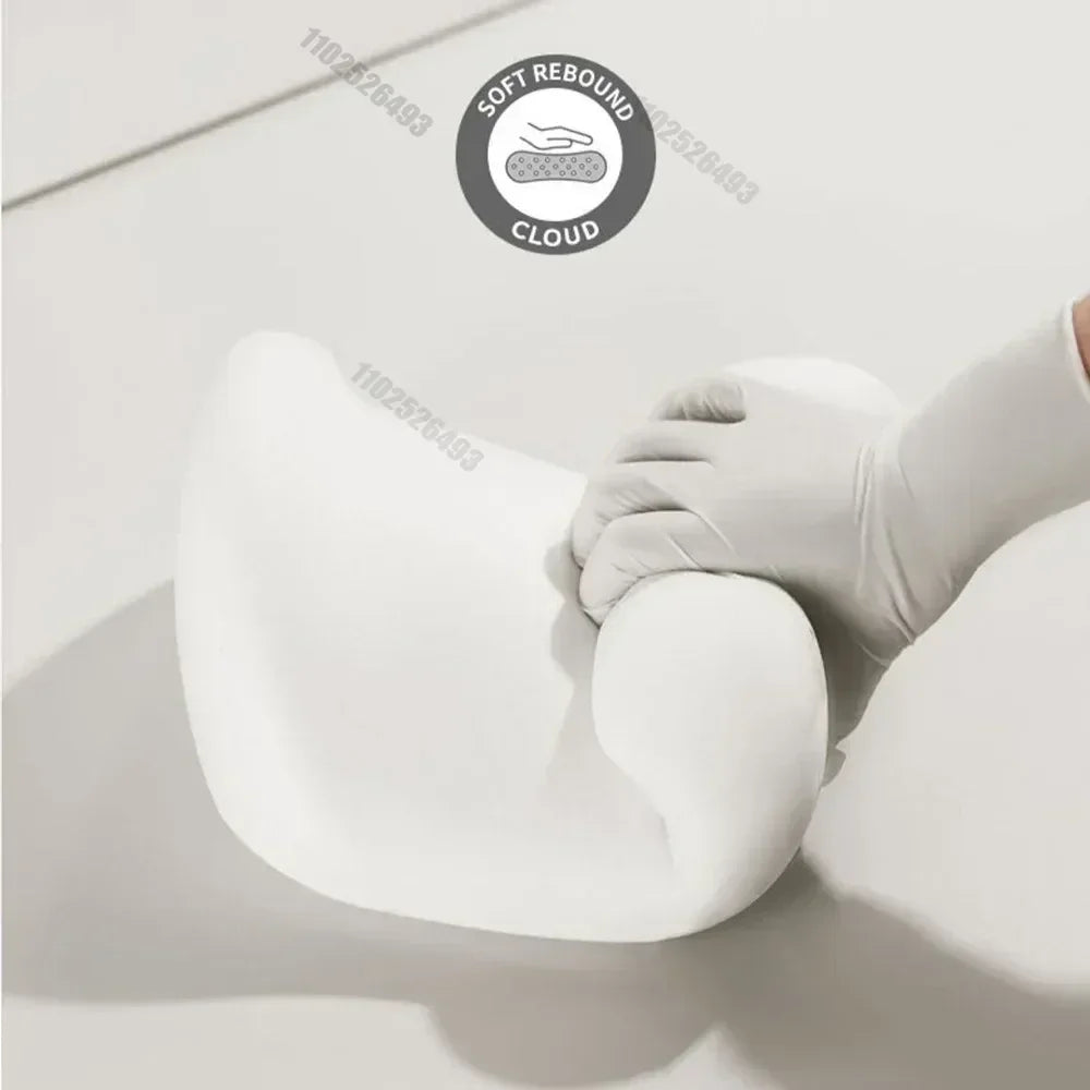 Lumbar Support Pillow and headrest