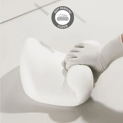 Lumbar Support Pillow and headrest